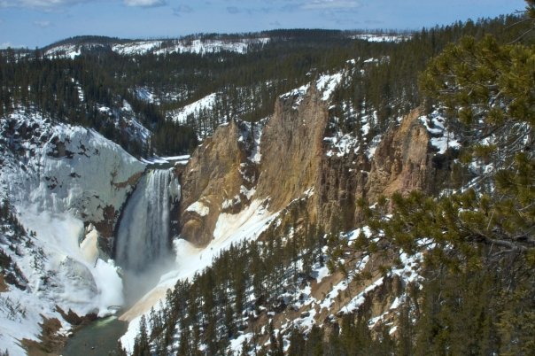 1929812_17323912243_2823_n